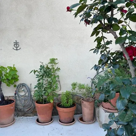 Charming House With Pool, Sea View 4 Bedrooms 2 Bathrooms * Saint-Mandrier-sur-Mer